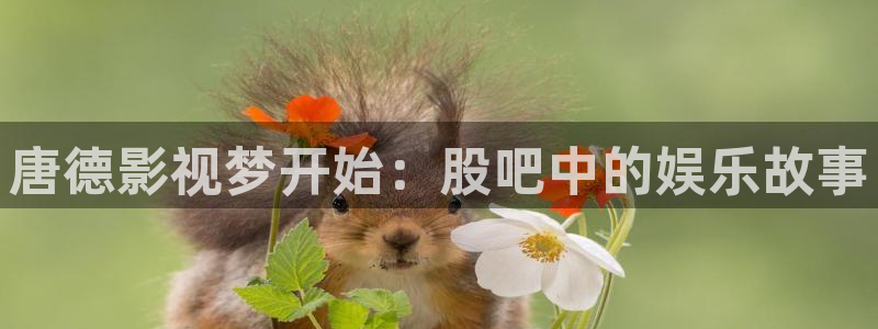 麥田影院下載