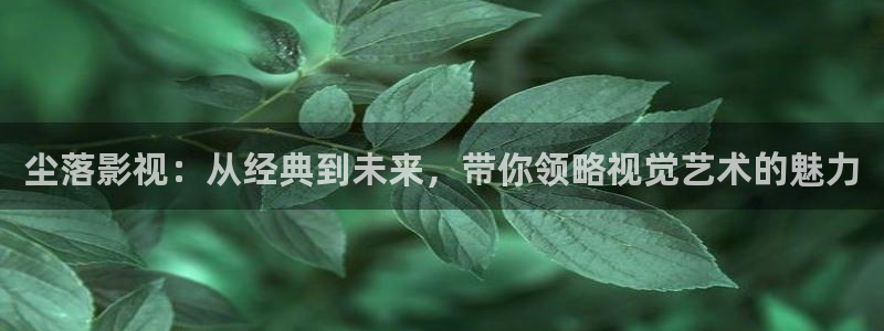 麥田影視影樓：塵落影視：從經(jīng)典到未來，帶你領(lǐng)略視覺藝術(shù)的魅力